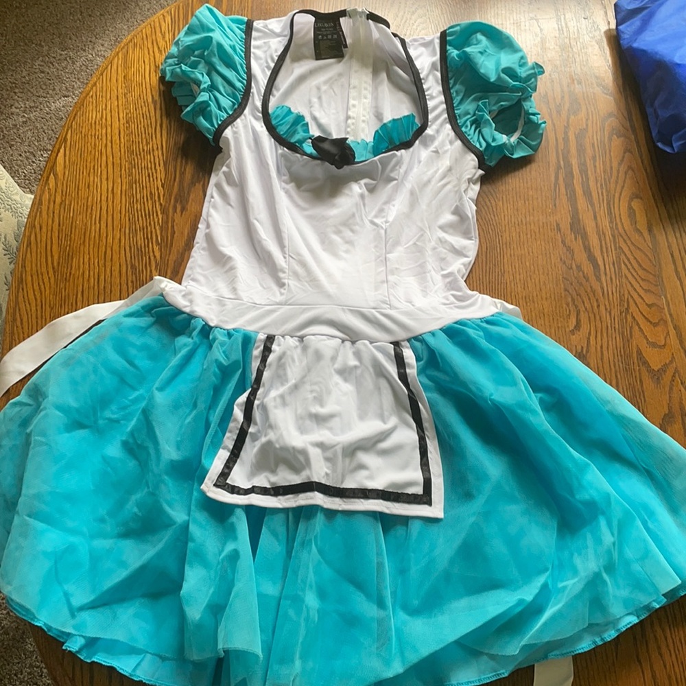 Alice in Wonderland Halloween Costume
